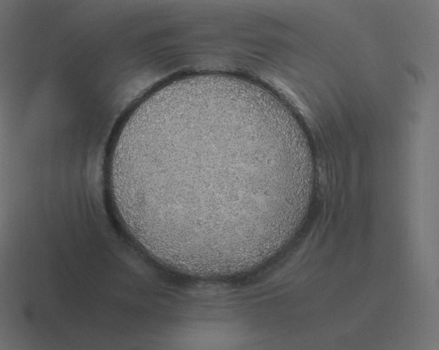 X0000116460487200912292010
