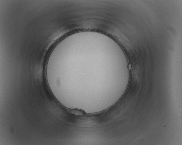 X0000116460488200912292010
