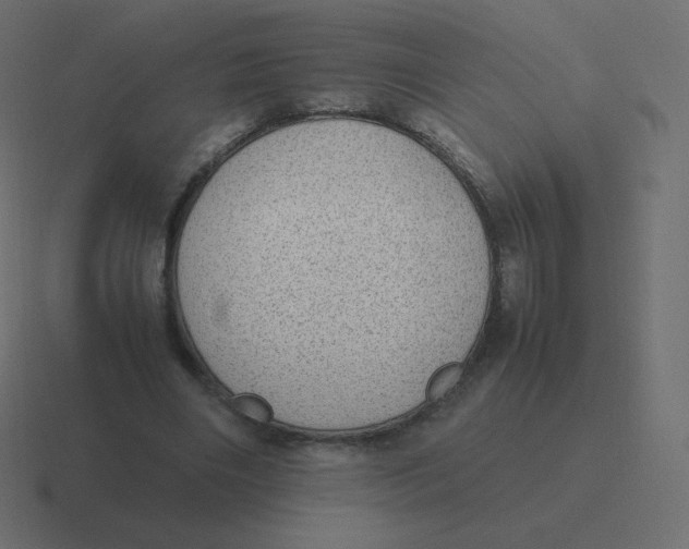 X0000116460490200912292010