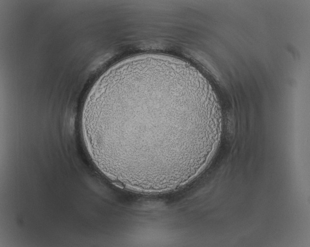 X0000116460491200912292010