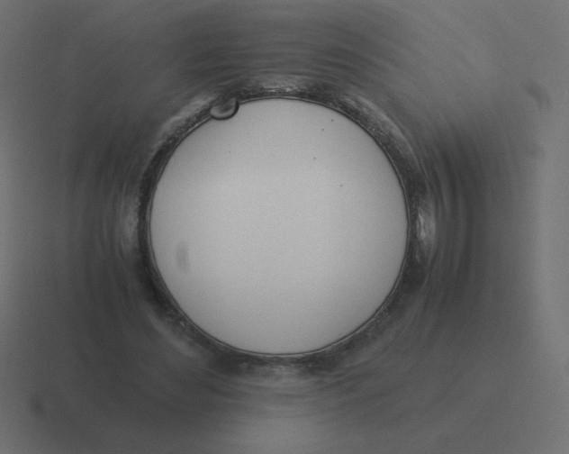 X0000116460492200912292010
