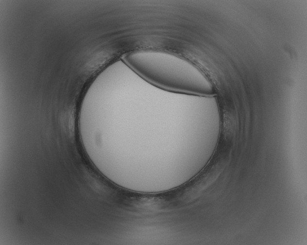 X0000116460493200912292010