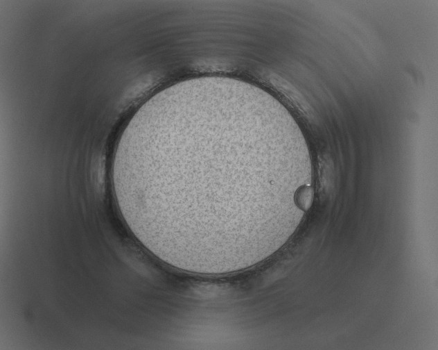 X0000116460494200912292010
