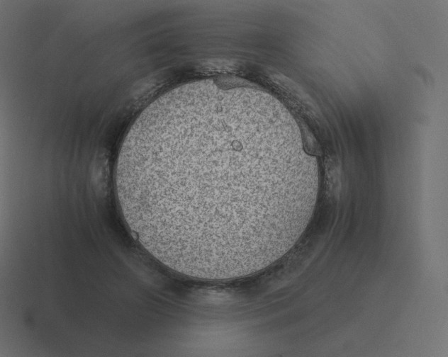 X0000116460498200912292010