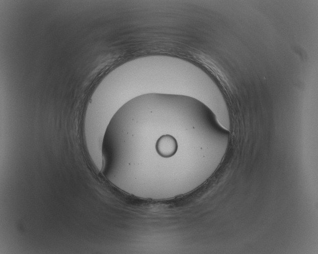 X0000116460501200912292010