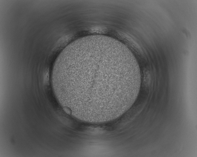 X0000116460502200912292010
