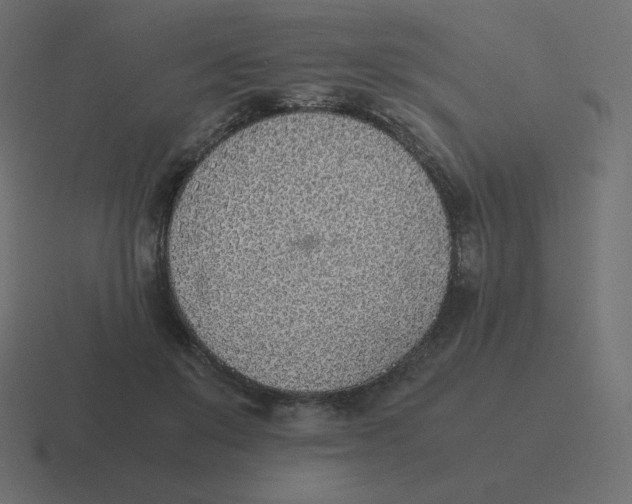 X0000116460503200912292010