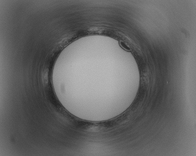 X0000116460504200912292010