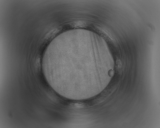 X0000116460506200912292010