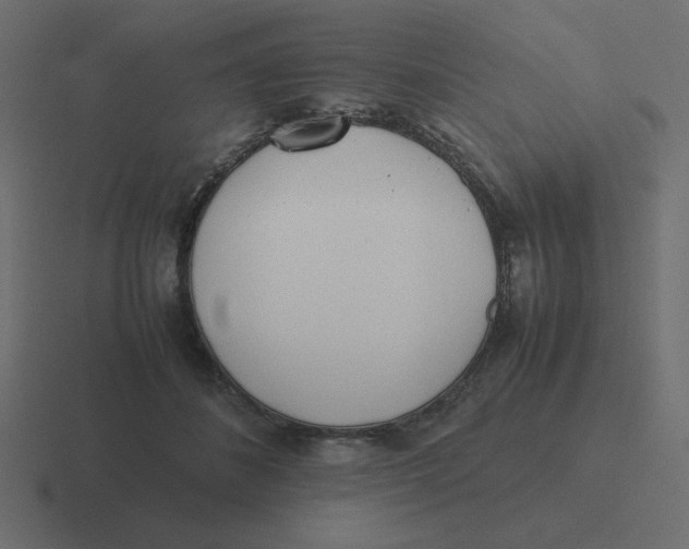 X0000116460508200912292010
