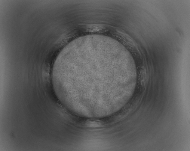 X0000116460510200912292010