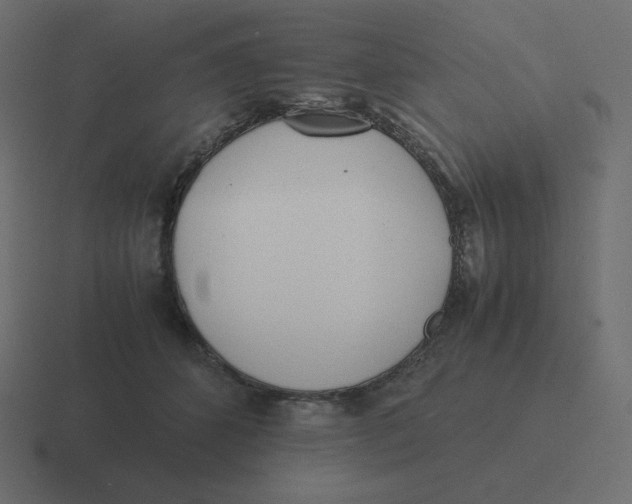 X0000116460512200912292010