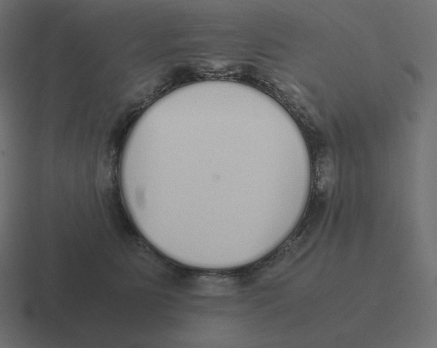 X0000116460515200912292010
