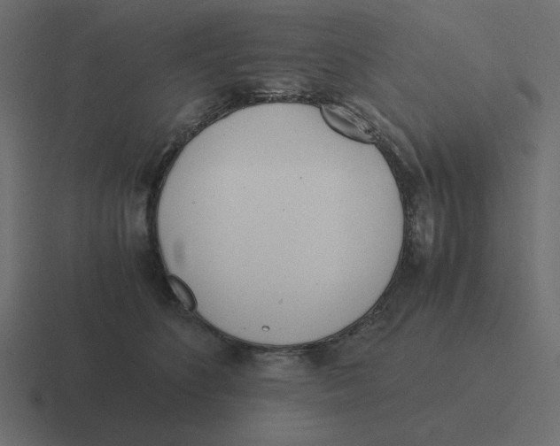 X0000116460516200912292010