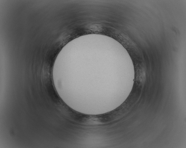 X0000116460518200912292010