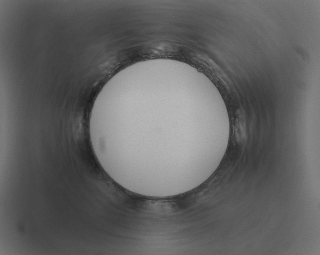 X0000116460520200912292010