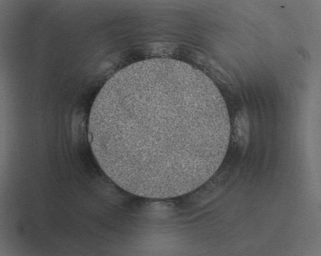 X0000116460522200912292009
