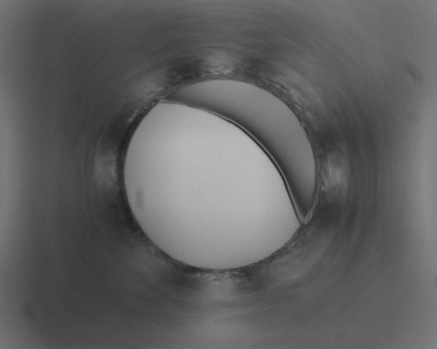 X0000116460524200912292009