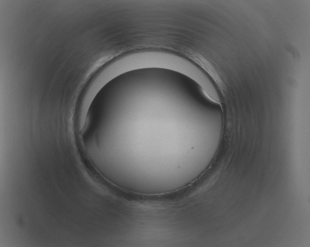 X0000116460530200912292009