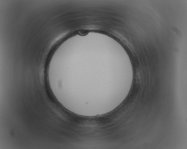 X0000116460535200912292009