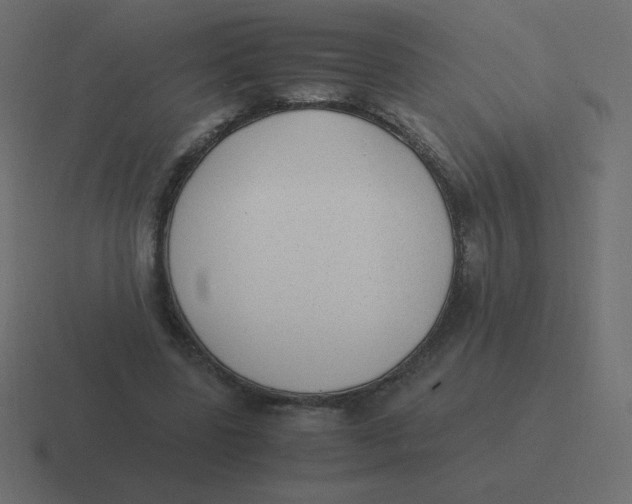 X0000116460539200912292009