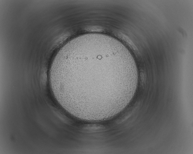 X0000116460541200912292009