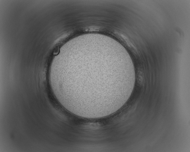 X0000116460543200912292009
