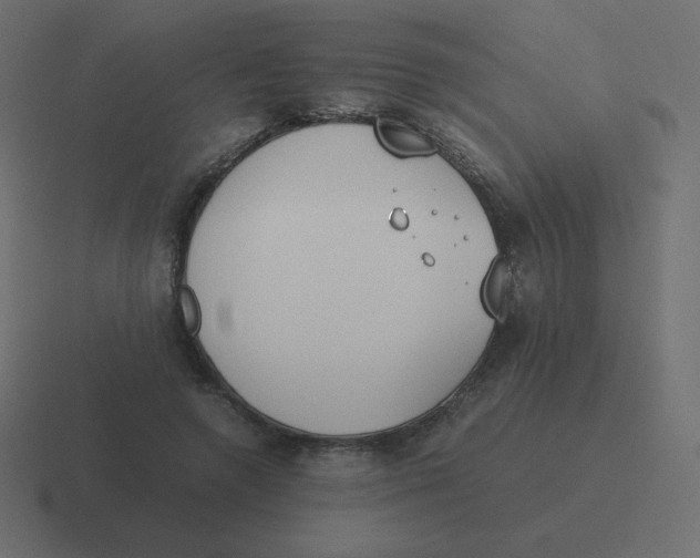 X0000116460546200912292009