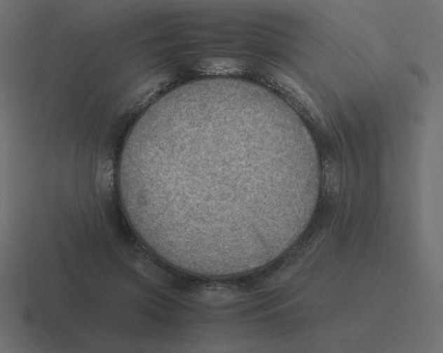 X0000116460549200912292009