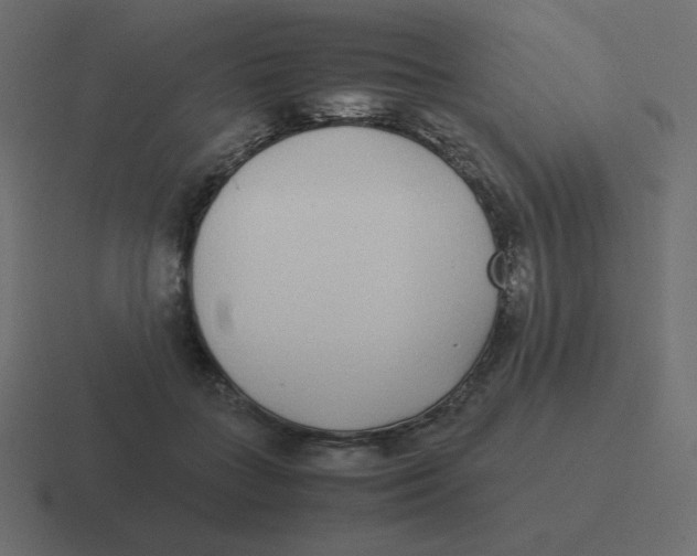 X0000116460555200912292009