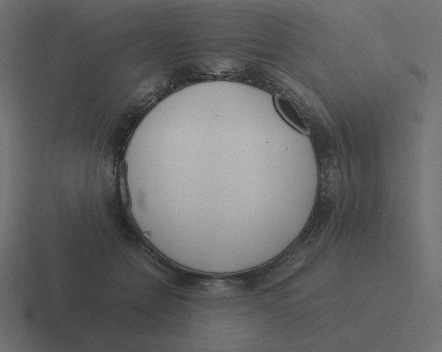 X0000116460558200912292009