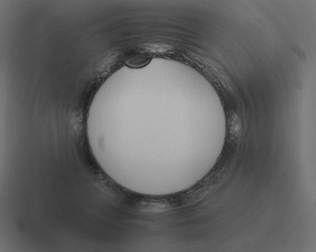 X0000116460559200912292009