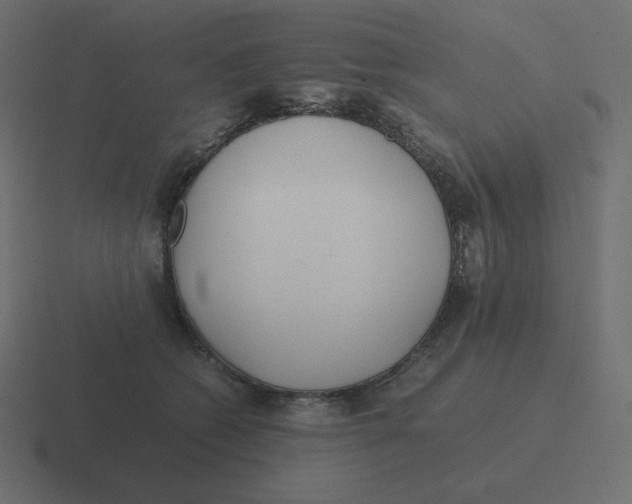 X0000116460562200912292009