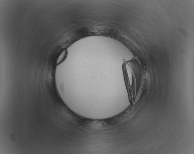 X0000116460566200912292009