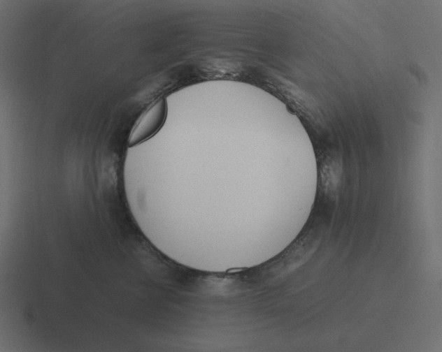 X0000116460570200912292009