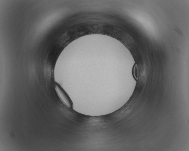 X0000116460574200912292009
