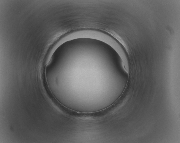 X0000116460581200912292009