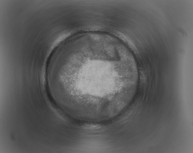 X0000116460582200912292009