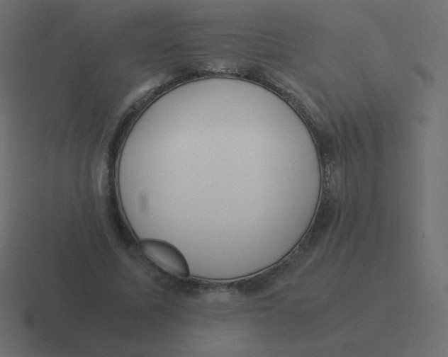 X0000116460587200912292009