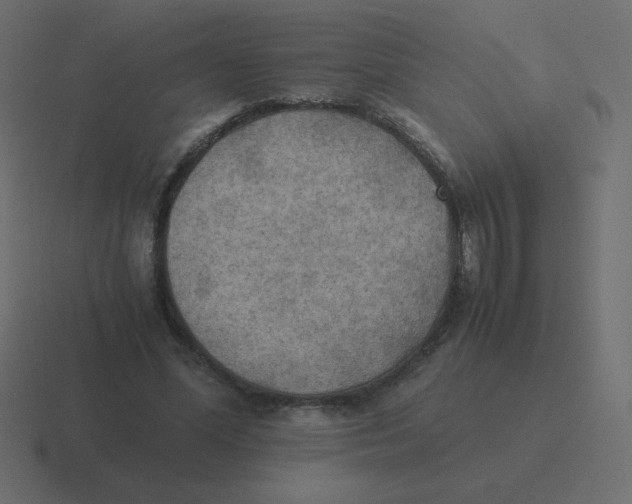 X0000116460588200912292009