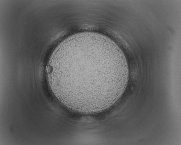 X0000116460591200912292009