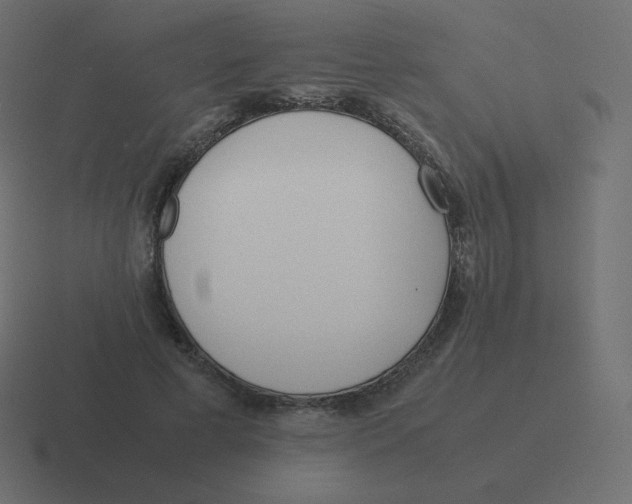 X0000116460593200912292009