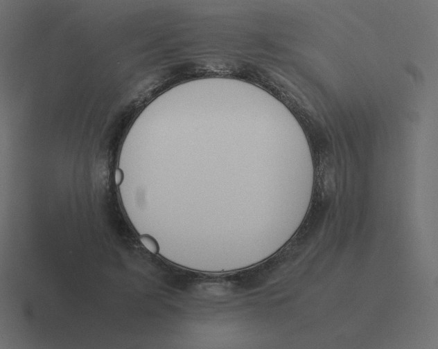 X0000116460595200912292009