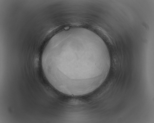 X0000116460596200912292009