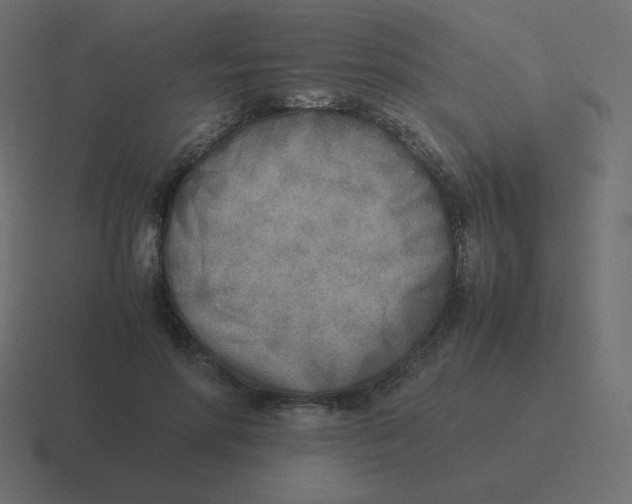 X0000116460598200912292009