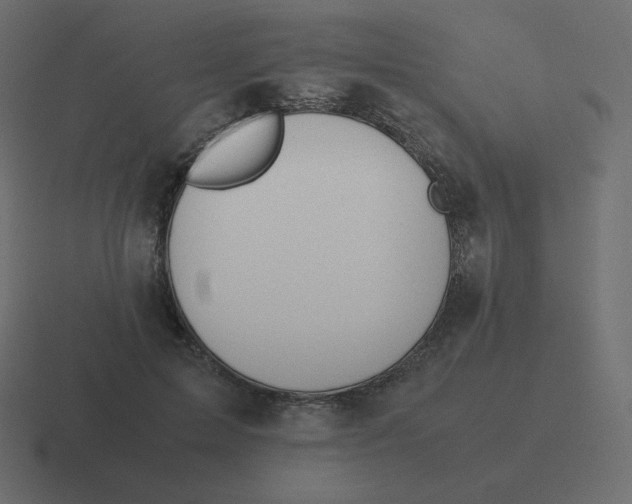 X0000116460599200912292009