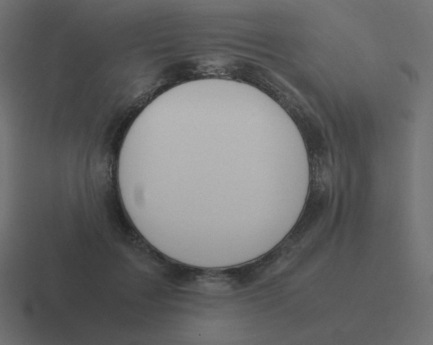 X0000116460603200912292008