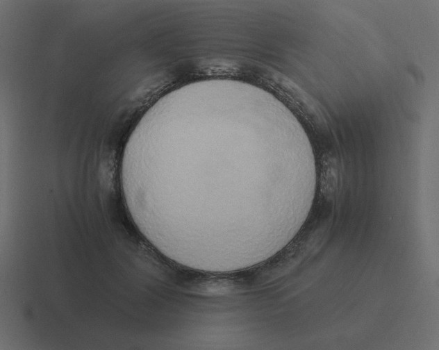 X0000116460604200912292008