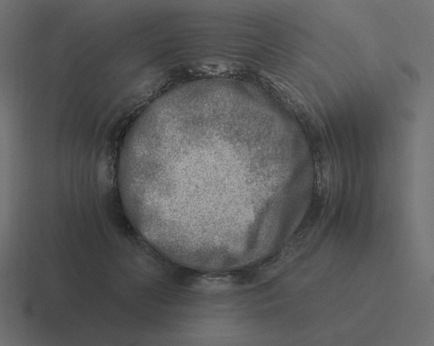 X0000116460606200912292008