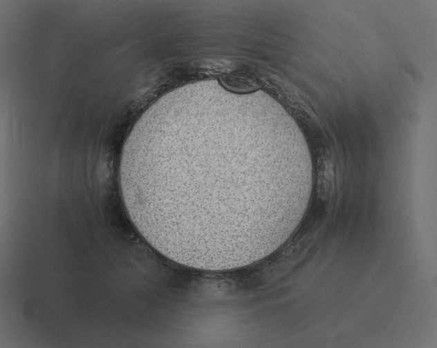 X0000116460608200912292008